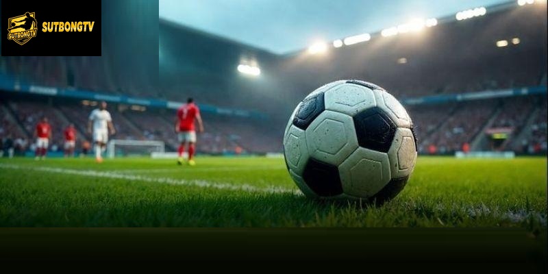 Sutbong TV có uy tín không được khán giả quan tâm